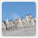 Sök efter antarctic klistermärken Antarktis