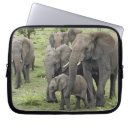 Sök efter afrikansk elefant laptop skal Tanzania