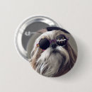 Sök efter tzu knappar Hund