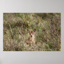 Sök efter kramare posters Natur