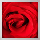 Sök efter rosa rosblomma konst Kronblad