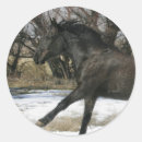 Sök efter mustang klistermärken Riddare