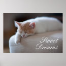 Sök efter piska posters Katt