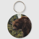 Sök efter grizzly nyckelringar Björn