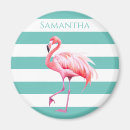 Sök efter bird magneter Flamingo