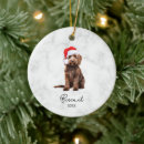 Sök efter husdjur ornament Minnesmärke för hund