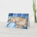 Sök efter adoptera kort Katt
