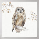 Sök efter uggla på en gren posters Fåglar