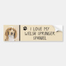 Sök efter spring bildekaler Hund