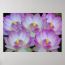Sök efter mors dag rosa posters Blommigt