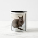 Sök efter avel hem presenter Katt