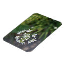 Sök efter trädgårdsmästare magneter Blommor