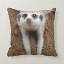 Sök efter dörr kuddar Djur