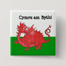 Sök efter welsh knappar Vit