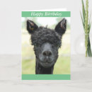 Sök efter alpaca kort Alaca