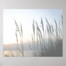 Sök efter dune posters Landskap