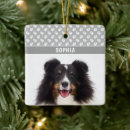 Sök efter husdjur ornament Människor (allmänt)