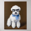 Sök efter maltese hund posters Pudel