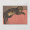 Sök efter steinlen Djur