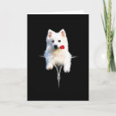 Sök efter woof kort Valp