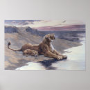 Sök efter lion posters Cub