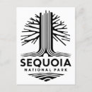 Sök efter sequoia vykort Sekvoja