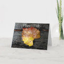 Sök efter flygkort kort Fall