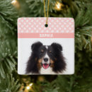 Sök efter husdjur ornament Människor (allmänt)