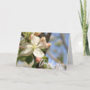 Sök efter apple blommar Människor (allmänt)