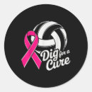 Sök efter rosa volleyboll Cancer