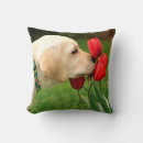 Sök efter labrador kuddar Gul lab