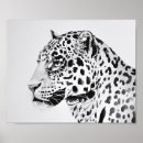 Sök efter svartvit leopard För alla