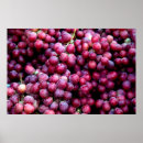 Sök efter wine posters Retro