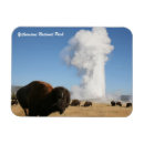 Sök efter yellowstone nationalpark Geyser