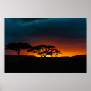 Sök efter african safari posters Savannah