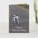 Sök efter jackrussell valp Valpar