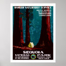 Sök efter tält posters Skog