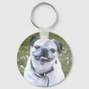 Sök efter mops hund nyckelringar Husdjur