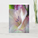 Sök efter gladioluses kort Rosa