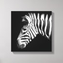 Sök efter zebra canvastryck Vilt
