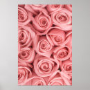 Sök efter rosa petal posters Blommar