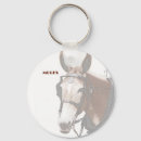 Sök efter formulerar accessoarer Equine
