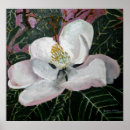 Sök efter magnolia posters Magnolier