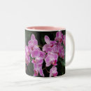 Sök efter rosa orchid fotografi Grönt