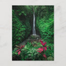 Sök efter bali landskap vykort Natur