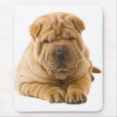 Sök efter sharpei Kineser