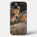 Sök efter stora katter ipad skal Stor katt