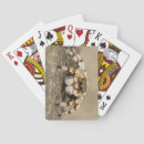 Sök efter spindel spelkort Araknid