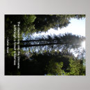 Sök efter john muir posters Skog
