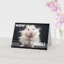 Sök efter hamster fotografi Familj
